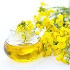 Rapeseed