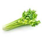 Fresh Celery