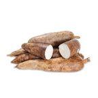 Indian Cassava