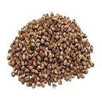 Unprocessed Raw Tobacco