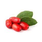 Iranian Barberry