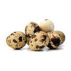 quail egg