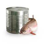 Trout In Sauce