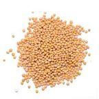 Mustard Seed