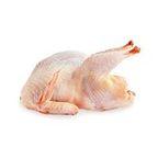 Quail Meat