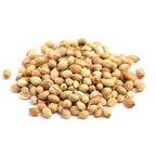 Coriander Seed
