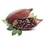 Fermented Cacao Beans