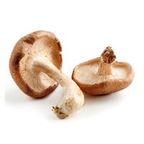 Shiitake Mushroom (표고버섯)