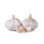 fresh garlic