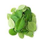 Organic Moringa Powder
