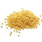 Yellow millet
