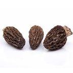 Morel Mushroom