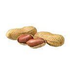 Peanut Java spec on 59/60 from India