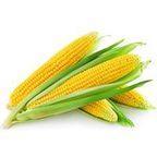 maize Type Corn Purity 98%+ Non Gmo Yes Color Yellow Moisture Content ≤14% Nutritional Value High Specification Non GMO yellow corn