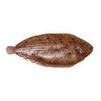 Fresh Frozen Yellowfin Sole