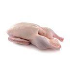 Fresh Goose Meat