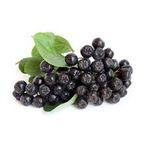 Aronia Powder