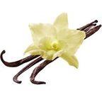 Vanilla Extract