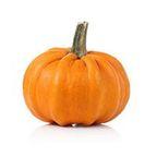 Pumpkin Powder
