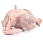 Turkey Meat