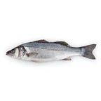 Fresh Whole Seabass