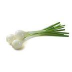 Scallion (Spring Onion)