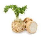 Fresh Celeriac