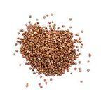 Buckwheat