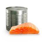 salmon