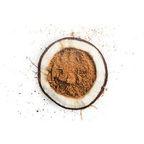 Coconut Palm Sugar