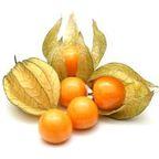Cape Gooseberry
