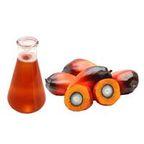 Palm Oil