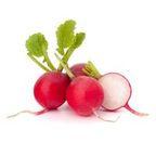 Radish