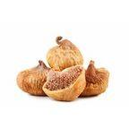 Fig
