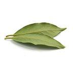 Bay Leaves