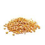 Maize