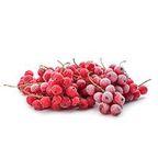 IQF Black currant