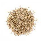 Whole Canary Seed