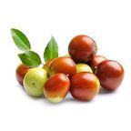 Iranian Jujube