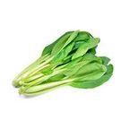 Japanese Mustard Spinach