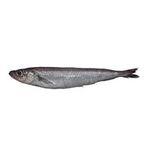 Whiting
