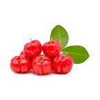 Acerola Powder