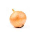 red onions, sized 55 mm and above