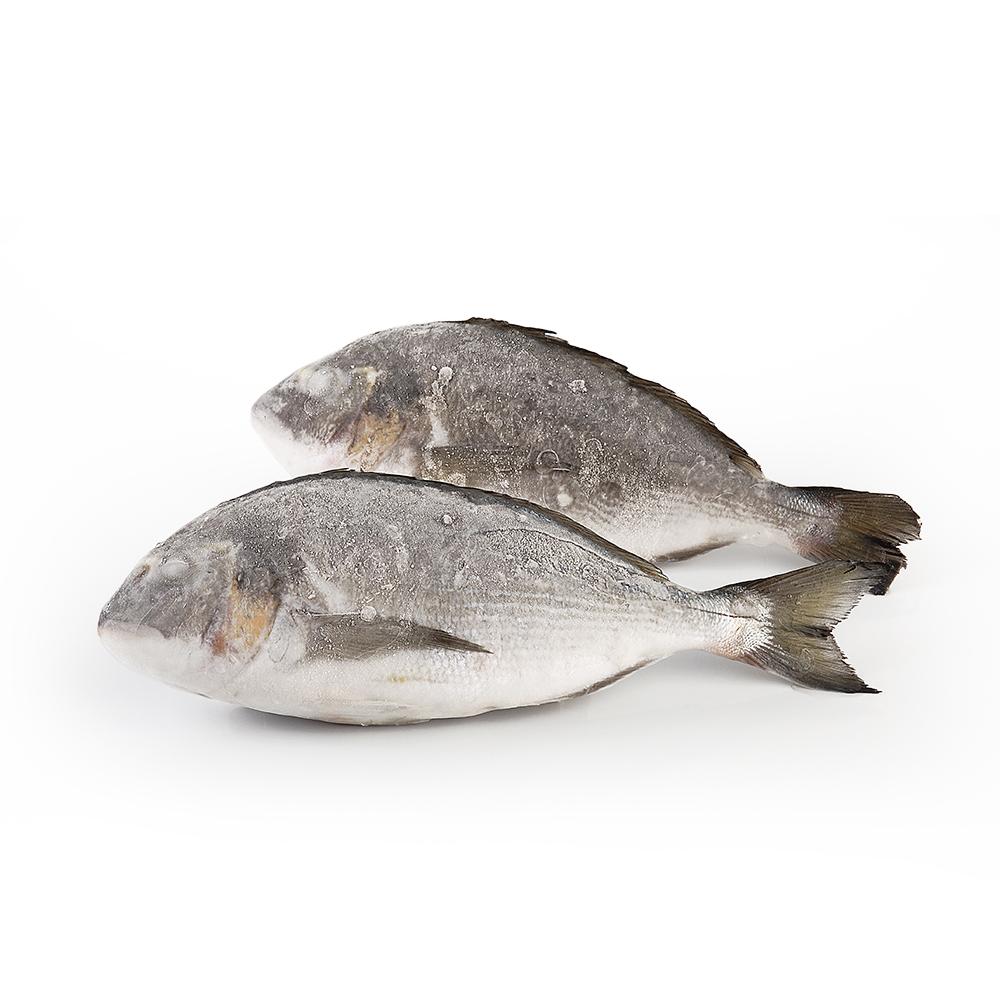 Frozen fish