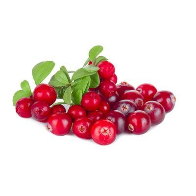 Lingonberry Nectar