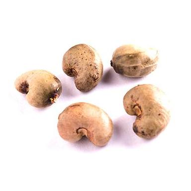 Raw Cashew Nuts