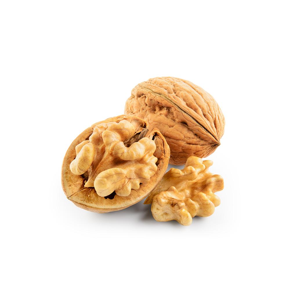 Walnut Kernel