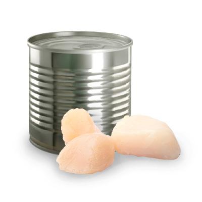 Scallop