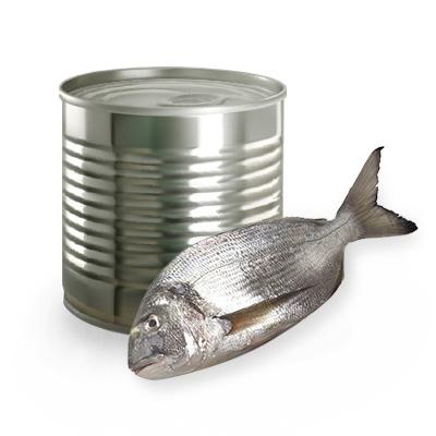 Thread fin Bream