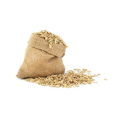 Maize